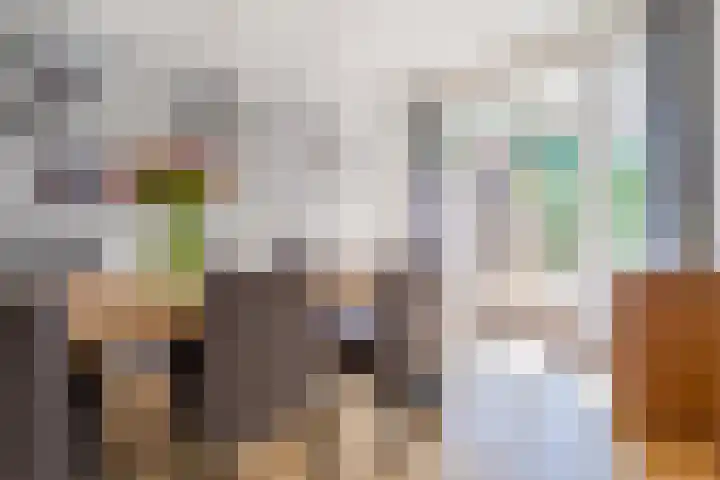 Lijsterbeslaan 52 Rijswijk thumbnail 18