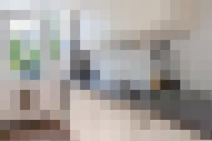 Lijsterbeslaan 52 Rijswijk thumbnail 19