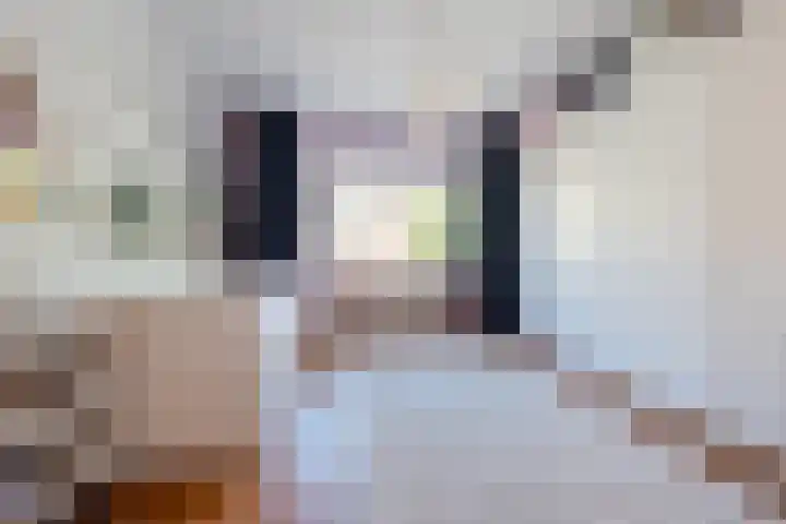 Lijsterbeslaan 52 Rijswijk thumbnail 24