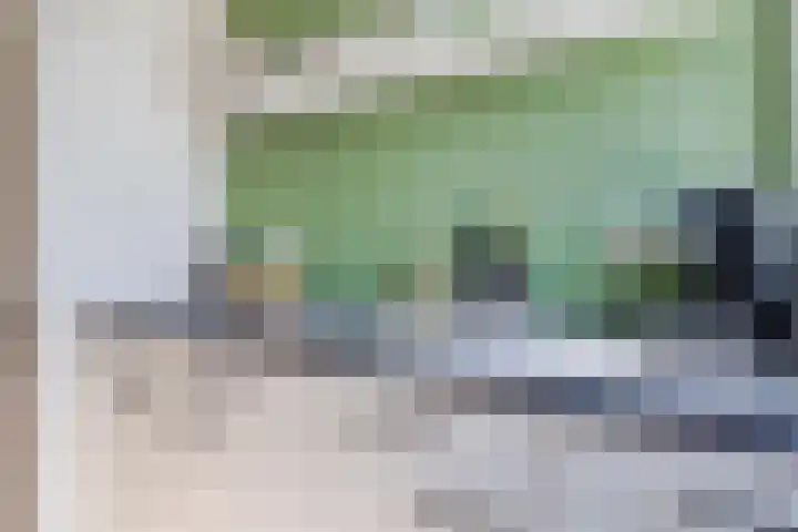 Lijsterbeslaan 52 Rijswijk thumbnail 26