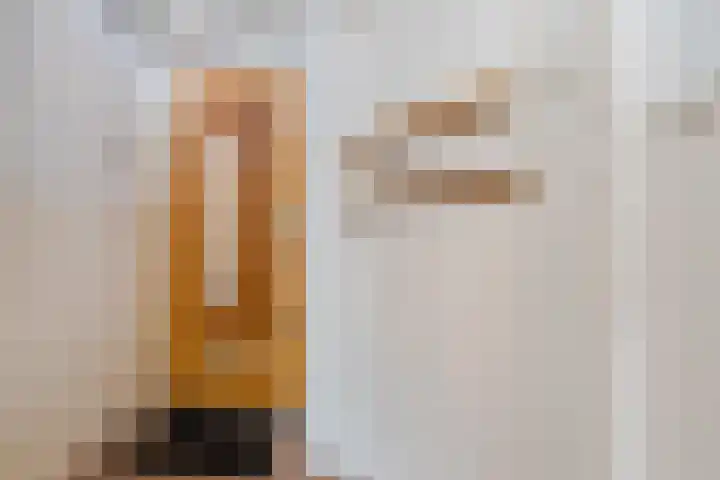 Lijsterbeslaan 52 Rijswijk thumbnail 27