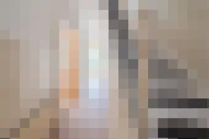 Lijsterbeslaan 52 Rijswijk thumbnail 31