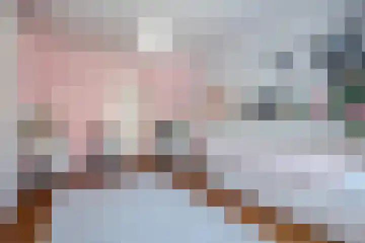 Lijsterbeslaan 52 Rijswijk thumbnail 35