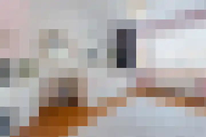 Lijsterbeslaan 52 Rijswijk thumbnail 36