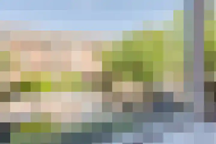Lijsterbeslaan 52 Rijswijk thumbnail 39