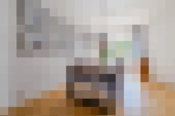 Lijsterbeslaan 52 Rijswijk thumbnail 4