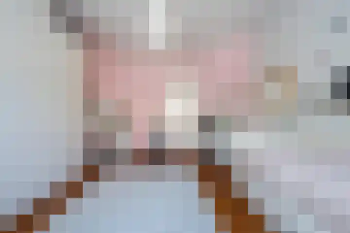 Lijsterbeslaan 52 Rijswijk thumbnail 42