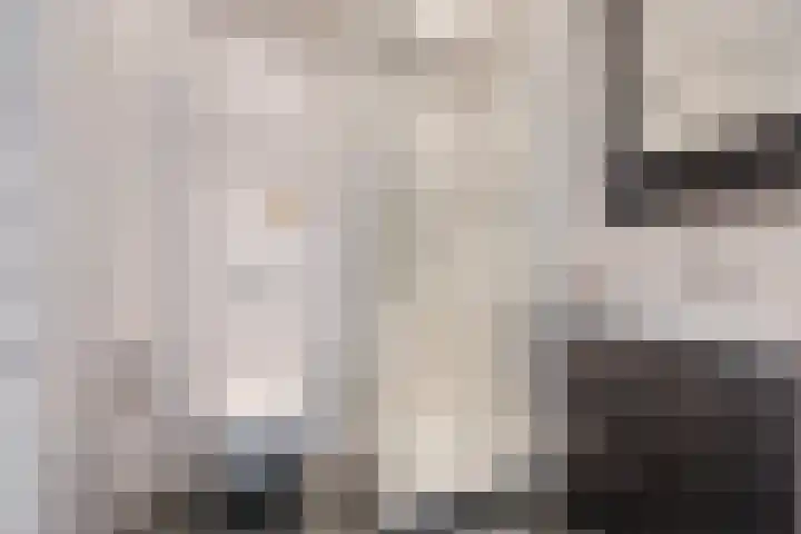 Lijsterbeslaan 52 Rijswijk thumbnail 47