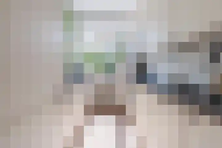 Lijsterbeslaan 52 Rijswijk thumbnail 5