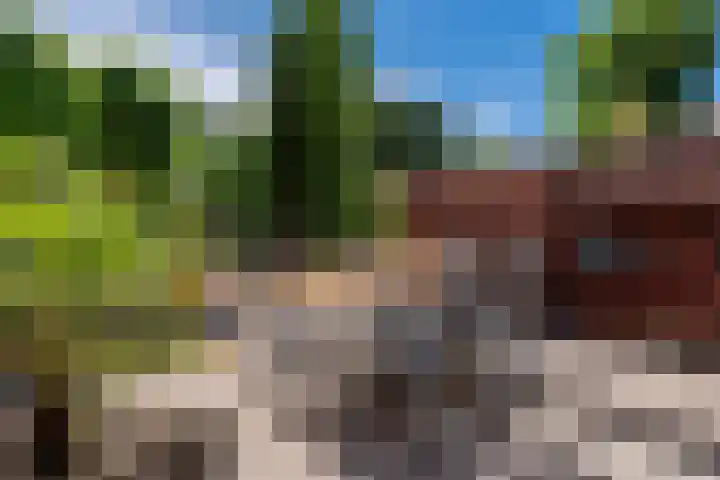 Lijsterbeslaan 52 Rijswijk thumbnail 53
