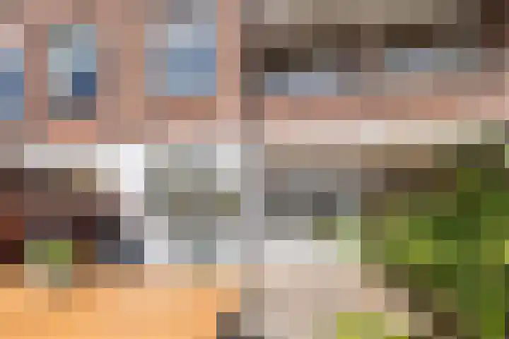 Lijsterbeslaan 52 Rijswijk thumbnail 55