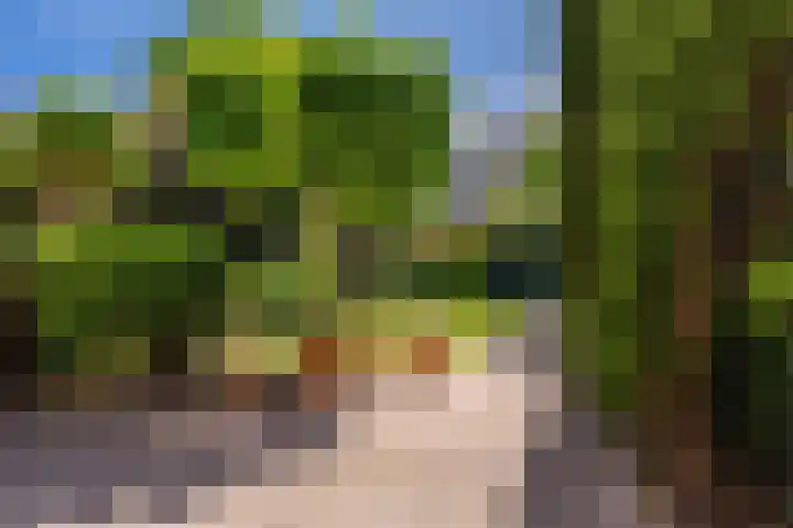 Lijsterbeslaan 52 Rijswijk thumbnail 56