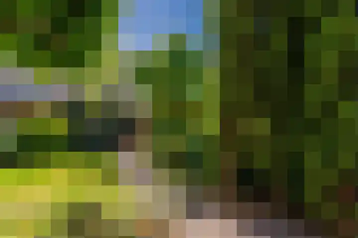 Lijsterbeslaan 52 Rijswijk thumbnail 57