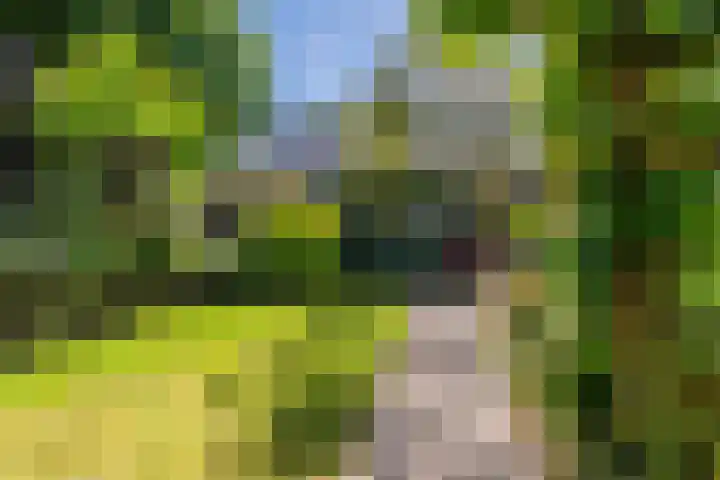 Lijsterbeslaan 52 Rijswijk thumbnail 58