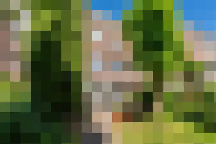 Lijsterbeslaan 52 Rijswijk thumbnail 60