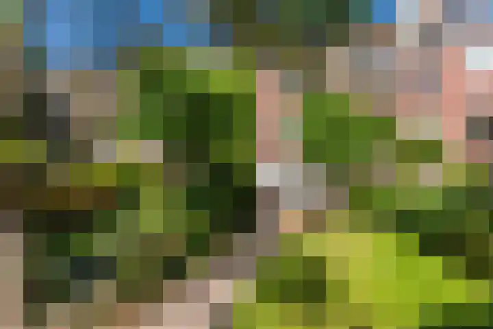 Lijsterbeslaan 52 Rijswijk thumbnail 61