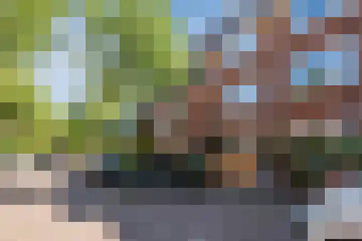 Lijsterbeslaan 52 Rijswijk thumbnail 65