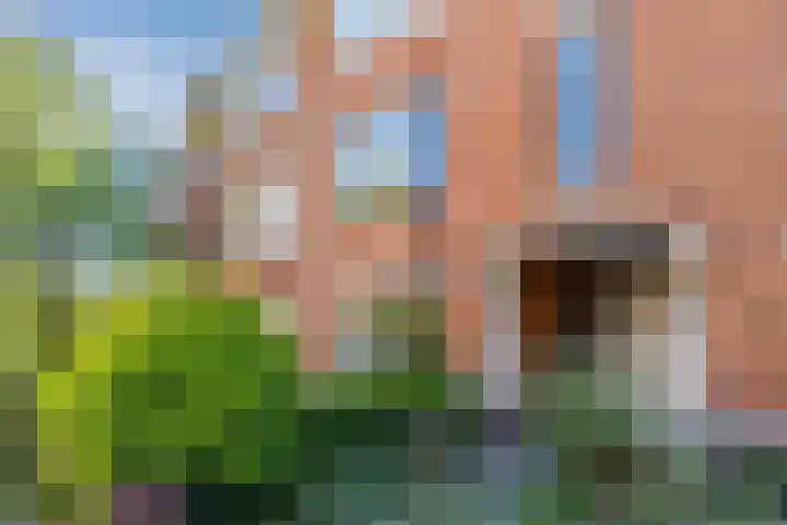 Lijsterbeslaan 52 Rijswijk thumbnail 68