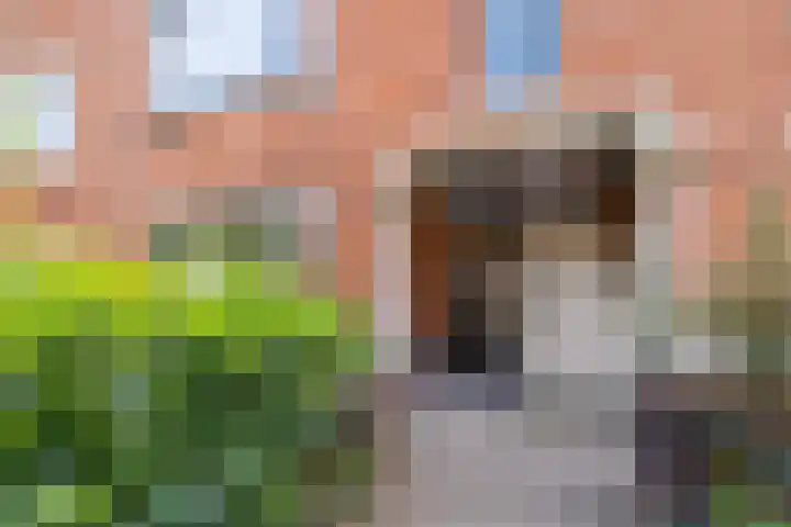 Lijsterbeslaan 52 Rijswijk thumbnail 69