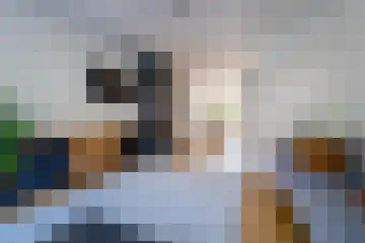 Lijsterbeslaan 52 Rijswijk thumbnail 9