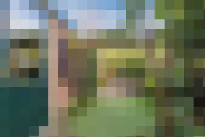 Lijsterbeslaan 56 Beverwijk thumbnail 28