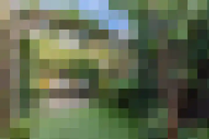 Lijsterbeslaan 56 Beverwijk thumbnail 29