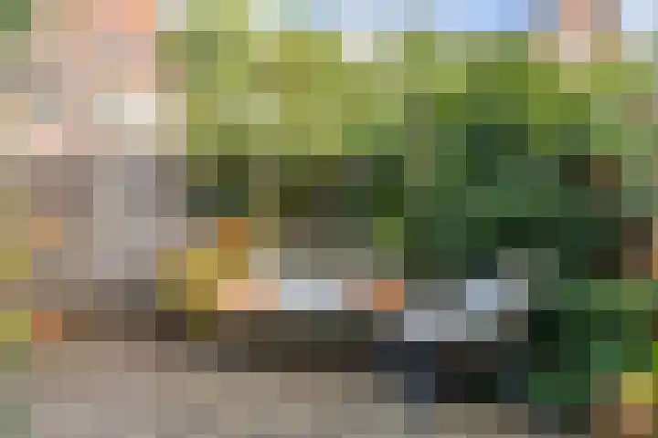 Lijsterbeslaan 56 Beverwijk thumbnail 30