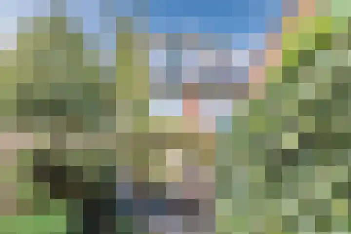 Lijsterbeslaan 56 Beverwijk thumbnail 31