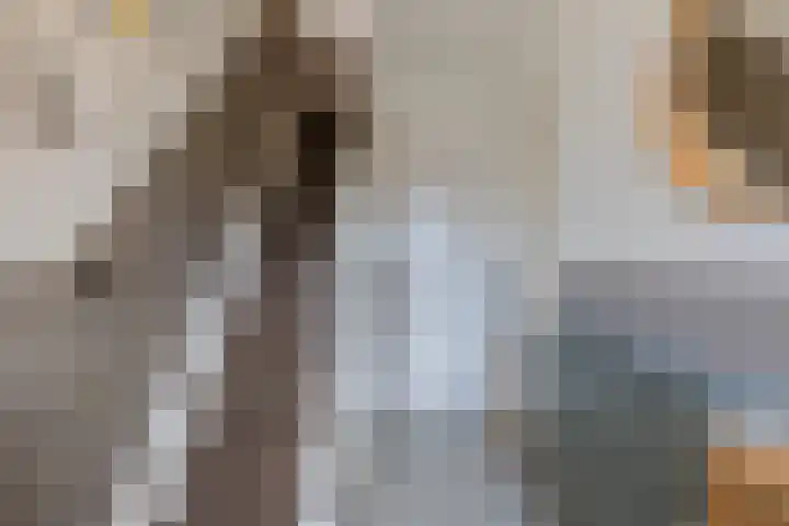 Lijsterbeslaan 56 Beverwijk thumbnail 34