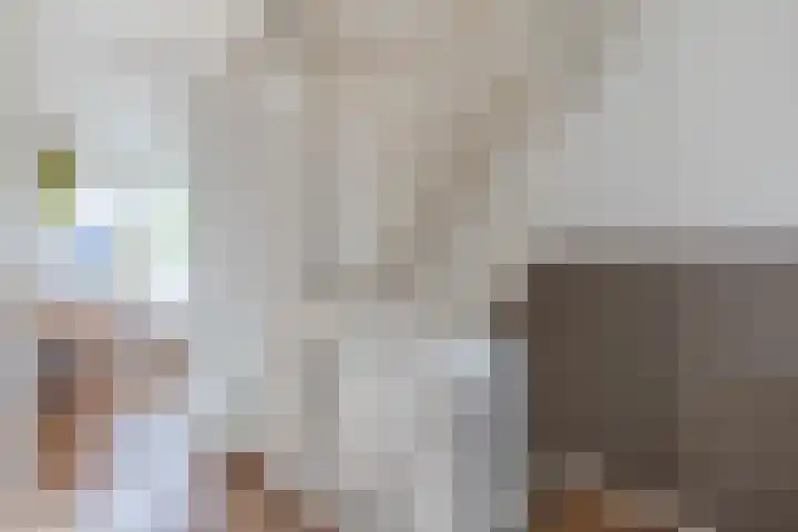 Lijsterbeslaan 56 Beverwijk thumbnail 38