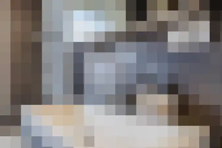 Lijsterbeslaan 56 Beverwijk thumbnail 46