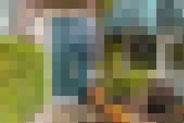 Lijsterbeslaan 56 Beverwijk thumbnail 5
