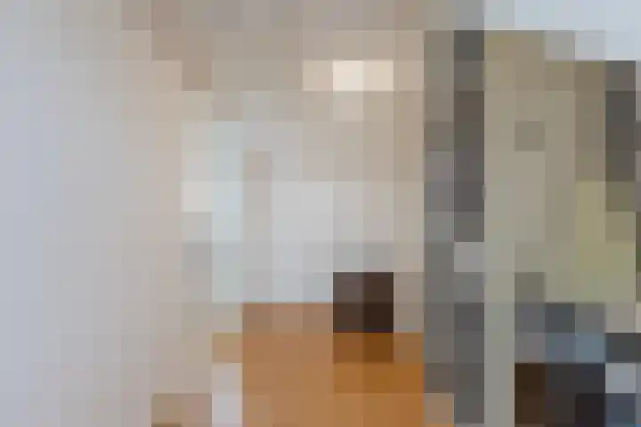Lijsterbeslaan 56 Beverwijk thumbnail 51