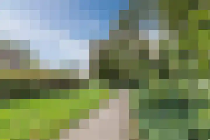 Lijsterbeslaan 56 Beverwijk thumbnail 56