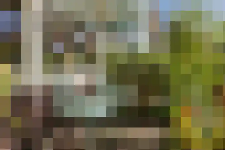 Lijsterbeslaan 56 Beverwijk thumbnail 6