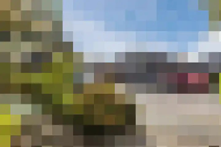 Lijsterbeslaan 56 Beverwijk thumbnail 7