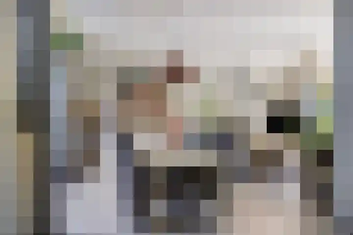 Lijsterbeslaan 6 Duiven thumbnail 11