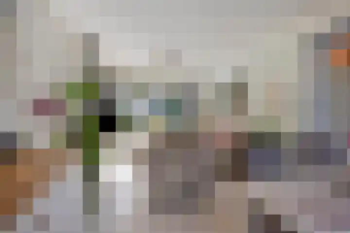 Lijsterbeslaan 6 Duiven thumbnail 12
