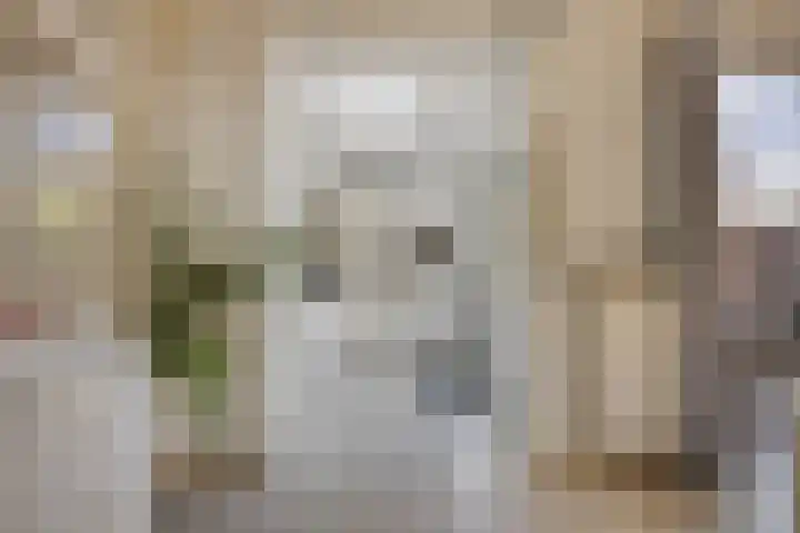 Lijsterbeslaan 6 Duiven thumbnail 15