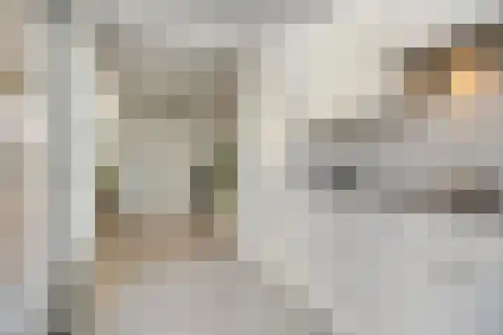 Lijsterbeslaan 6 Duiven thumbnail 17