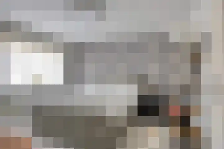 Lijsterbeslaan 6 Duiven thumbnail 19