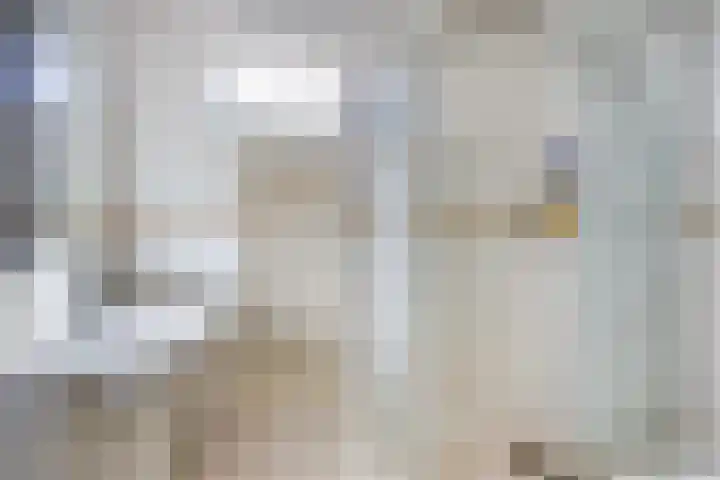Lijsterbeslaan 6 Duiven thumbnail 21