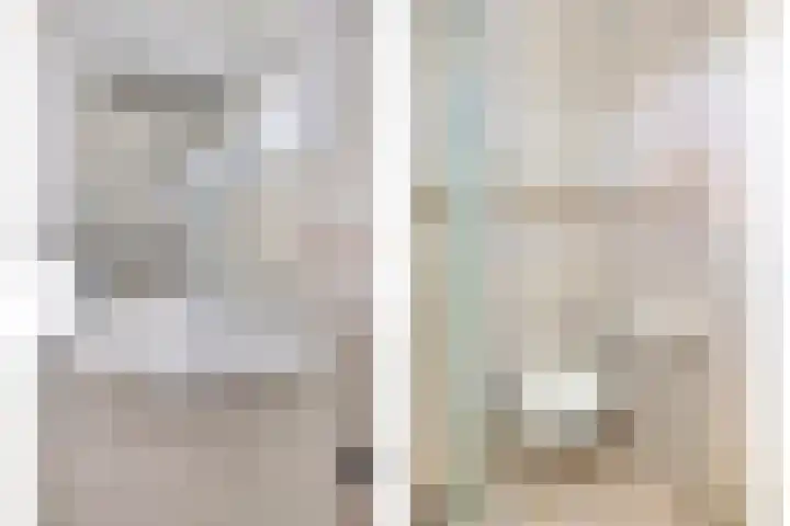 Lijsterbeslaan 6 Duiven thumbnail 23