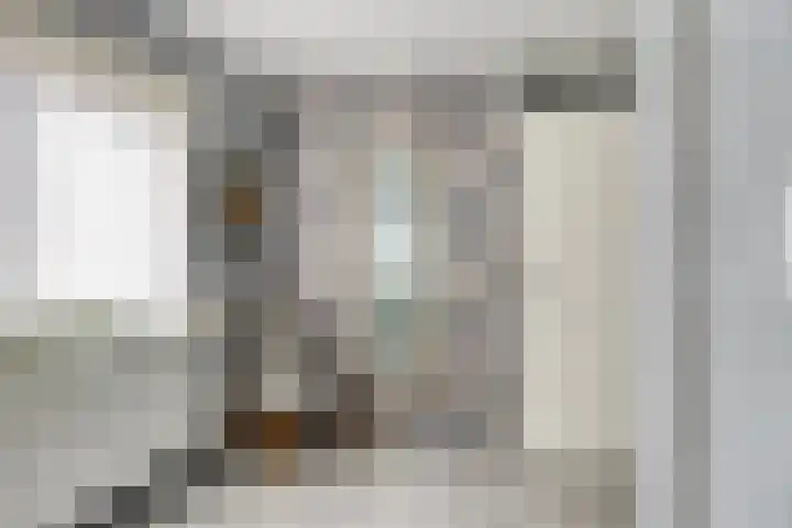 Lijsterbeslaan 6 Duiven thumbnail 26