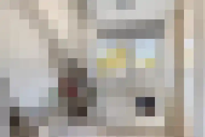 Lijsterbeslaan 6 Duiven thumbnail 28
