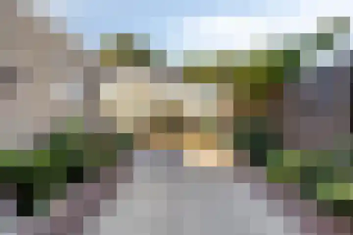 Lijsterbeslaan 6 Duiven thumbnail 32