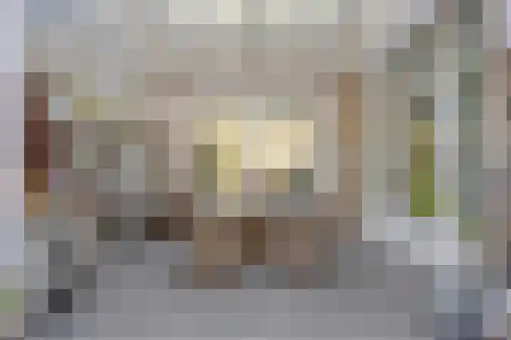 Lijsterbeslaan 6 Duiven thumbnail 33