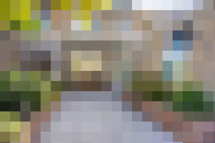 Lijsterbeslaan 6 Duiven thumbnail 34