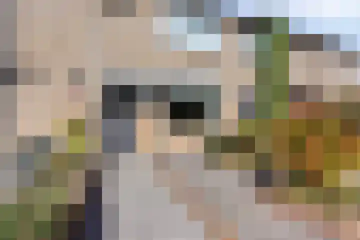Lijsterbeslaan 6 Duiven thumbnail 5