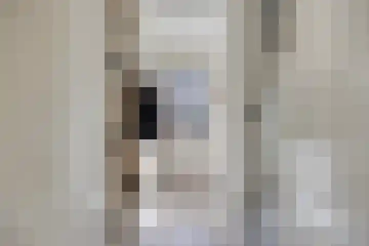 Lijsterbeslaan 6 Duiven thumbnail 6